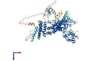 ube3a Protein (AA 1-875) (His tag)