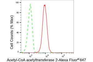 Flow cytometric analysis of Acetyl-CoA acetyltransferase 2 expression in C2C12 cells using Acetyl-CoA acetyltransferase 2 antibody (ABIN7797440), 1:2,000). (Rekombinanter ACAT2 Antikörper)