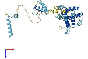 PRPF18 Protein (AA 1-342) (His tag)