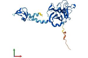 AlphaFold protein structure predicition of Human Recombinant RFPL4A Protein, UniprotID A6NLU0