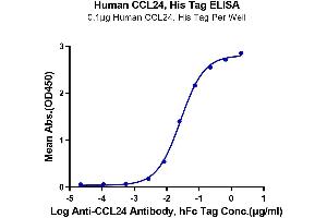 ELISA image for Chemokine (C-C Motif) Ligand 24 (CCL24) (AA 27-119) protein (His tag) (ABIN7274047)