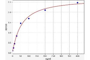 Vitronectin ELISA Kit