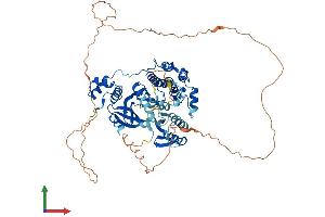 Protein Structure (PS) image for Maternal Embryonic Leucine Zipper Kinase (MELK) (AA 1-643) protein (His tag) (ABIN7563932)