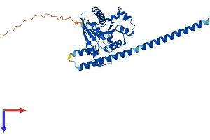 GIMAP5 Protein (AA 1-307) (His tag)