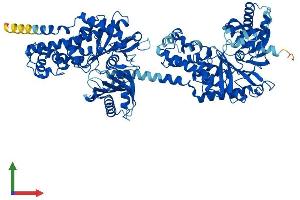 Protein Structure (PS) image for Hexokinase Domain Containing 1 (HKDC1) (AA 1-915) protein (His tag) (ABIN7560020)