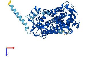 CYP2D6 Protein (AA 1-497) (His tag)