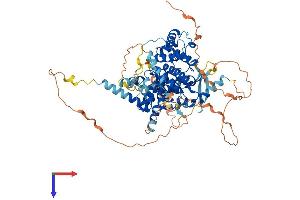 ARHGAP40 Protein (AA 1-672) (His tag)