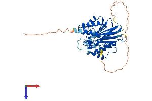 TDP2 Protein (AA 1-362) (His tag)