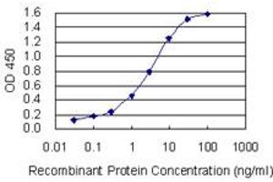 Detection limit for recombinant GST tagged CD72 is 0. (CD72 Antikörper  (AA 117-226))