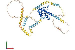 AlphaFold protein structure predicition of Human Recombinant SYAP1 Protein, UniprotID Q96A49