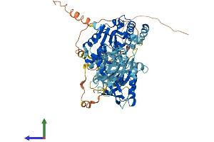 Protein Structure (PS) image for PIF1 5'-To-3' DNA Helicase (PIF1) (AA 1-650) protein (His tag) (ABIN7564224)