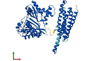 Protein Structure (PS) image for Formiminotransferase Cyclodeaminase (FTCD) (AA 1-541) protein (His tag) (ABIN7560085)