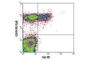 Flow Cytometry (FACS) image for anti-Tumor Necrosis Factor Receptor Superfamily, Member 13B (TNFRSF13B) antibody (PE) (ABIN2663249)