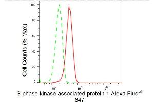 Flow cytometric analysis of S-phase kinase associated protein 1 expression in HeLa cells using S-phase kinase associated protein 1 antibody (ABIN7800267), 1:2,000). (Rekombinanter SKP1 Antikörper)
