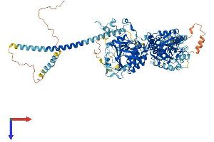 EXTL3 Protein (AA 1-918) (His tag)