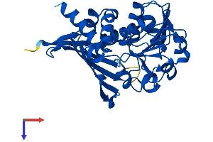 CRYM Protein (AA 1-314) (His tag)