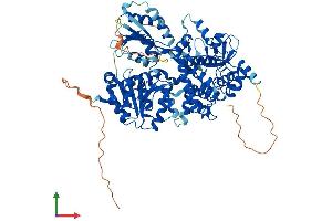 Protein Structure (PS) image for DEAH (Asp-Glu-Ala-His) Box Polypeptide 32 (DHX32) (AA 1-744) protein (His tag) (ABIN7559054)