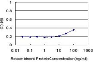 Detection limit for recombinant GST tagged HEYL is approximately 10ng/ml as a capture antibody. (HEYL Antikörper  (AA 221-327))
