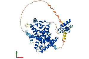 Protein Structure (PS) image for Peroxisome Proliferator-Activated Receptor delta (PPARD) (AA 1-440) protein (His tag) (ABIN7563171)