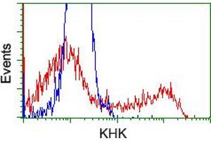 HEK293T cells transfected with either RC202424 overexpress plasmid (Red) or empty vector control plasmid (Blue) were immunostained by anti-KHK antibody (ABIN2453199), and then analyzed by flow cytometry. (Ketohexokinase Antikörper)