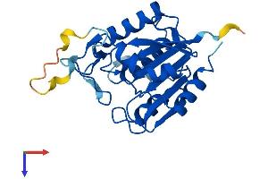 OVCA2 Protein (AA 1-227) (His tag)