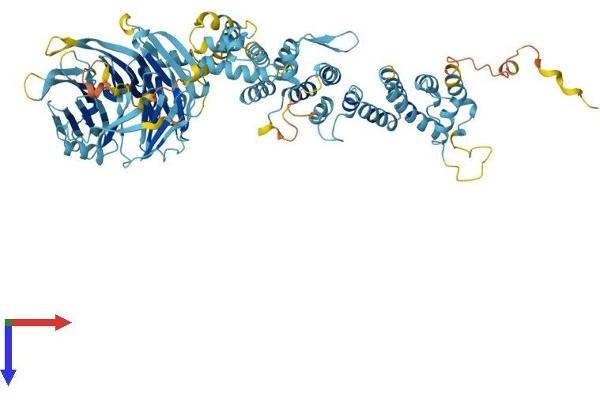 HPS6 Protein (AA 1-775) (His tag)