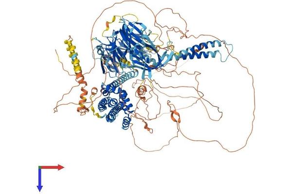 ARHGEF10 Protein (AA 1-1369) (His tag)