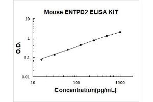 Ectonucleoside Triphosphate diphosphohydrolase 2 (ENTPD2) ELISA Kit