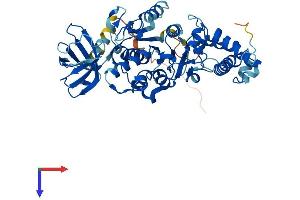Protein Structure (PS) image for ATPase, H+ Transporting, Lysosomal 56/58kDa, V1 Subunit B2 (ATP6V1B2) (AA 1-511) protein (His tag) (ABIN7545044)