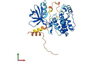 Protein Structure (PS) image for Pregnancy Up-Regulated Non-Ubiquitously Expressed CaM Kinase (PNCK) (AA 1-343) protein (His tag) (ABIN7561797)