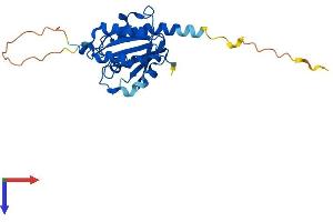 RAB20 Protein (AA 1-233) (His tag)