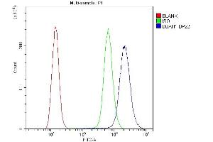 Flow Cytometry analysis of A431 cells using anti-DDAH1 antibody (ABIN4886560).