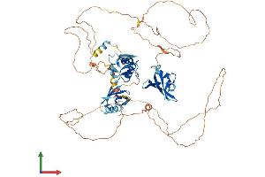 Protein Structure (PS) image for Dishevelled Segment Polarity Protein 1 (DVL1) (AA 1-695) protein (His tag) (ABIN7553756)