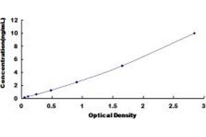 Typical standard curve (DUSP5 ELISA Kit)