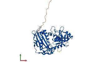 Protein Structure (PS) image for Branched Chain Amino-Acid Transaminase 1, Cytosolic (BCAT1) (AA 1-386) protein (His tag) (ABIN7562994)