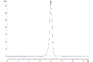 Size-exclusion chromatography-High Pressure Liquid Chromatography (SEC-HPLC) image for Epithelial Cell Adhesion Molecule (EPCAM) (AA 24-265) protein (His tag) (ABIN7274023)
