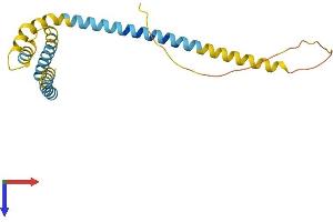 Receptor Accessory Protein 1 Protein (REEP1) (AA 1-201) (His tag)