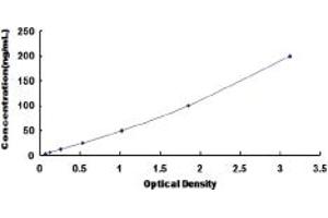 Typical standard curve