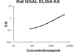 Rat Lipocalin-2/NGAL PicoKine ELISA Kit standard curve