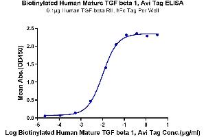 ELISA image for Transforming Growth Factor, beta 1 (TGFB1) (AA 279-390) protein (AVI tag,Biotin) (ABIN7275706)