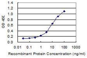 Detection limit for recombinant GST tagged COL19A1 is 0. (COL19A1 Antikörper  (AA 27-114))