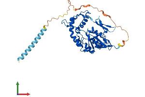Protein Structure (PS) image for Heparan Sulfate (Glucosamine) 3-O-Sulfotransferase 5 (HS3ST5) (AA 1-346) protein (His tag) (ABIN7558855)