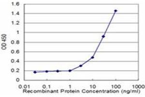 Detection limit for recombinant GST tagged CD8A is approximately 3ng/ml as a capture antibody. (CD8 alpha Antikörper  (AA 1-235))
