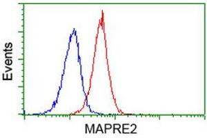 Flow cytometric Analysis of Jurkat cells, using anti-MAPRE2 antibody (ABIN2454553), (Red), compared to a nonspecific negative control antibody, (Blue). (MAPRE2 Antikörper)