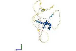 AlphaFold protein structure predicition of Human Recombinant NKX2-6 Protein, UniprotID A6NCS4 (NKX2-6 Protein (AA 1-301) (His tag))