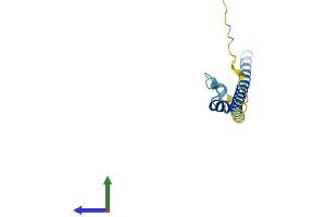 AlphaFold protein structure predicition of Human Recombinant ERICH4 Protein, UniprotID A6NGS2