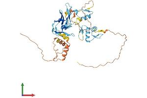 AlphaFold protein structure predicition of Human Recombinant PRDM12 Protein, UniprotID Q9H4Q4