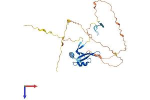 BOLL Protein (AA 1-283) (His tag)