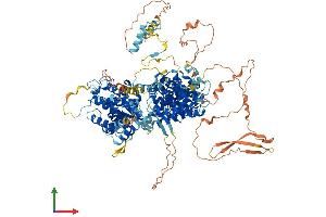 Protein Structure (PS) image for Retinoblastoma-Like 1 (p107) (RBL1) (AA 1-1063) protein (His tag) (ABIN7563994)