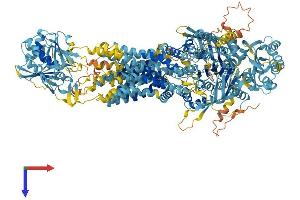 ABCA9 Protein (AA 1-1624) (His tag)